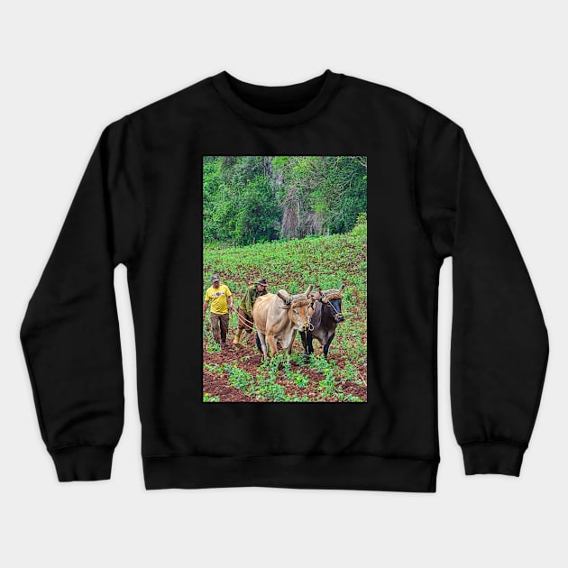 Farmers, Vinales, Cuba Crewneck Sweatshirt by bulljup